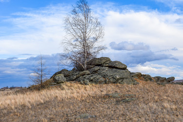 Similar image 22239845