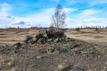 Similar image 22239861