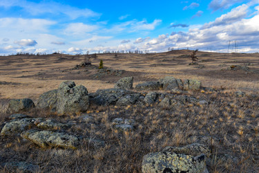 Similar image 22239867