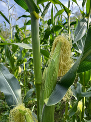 Similar image 22245072