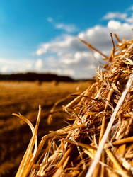 Similar image 22245073