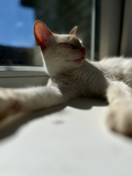 Similar image 22245074