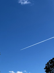 Similar image 22245077