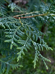 Similar image 22245078