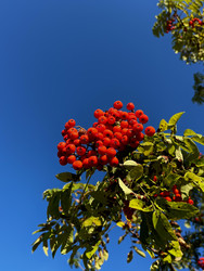 Similar image 22245080