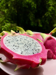 Similar image 22245085