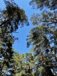 Similar image 22245088