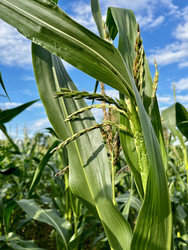 Similar image 22245090