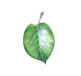 Similar image 22235942