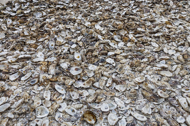 Similar image 22257897