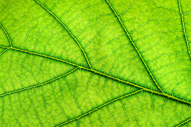 Similar image 22243085