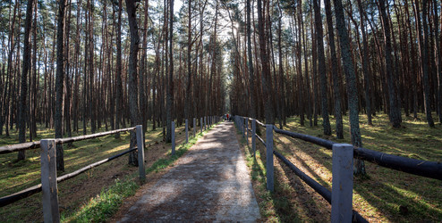 Similar image 22235883