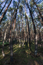 Similar image 22235884