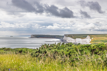 Similar image 22235417