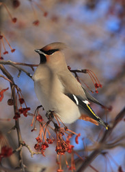 Similar image 22234850