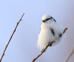 Similar image 22234851