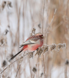 Similar image 22234852