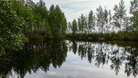 Similar image 22237164