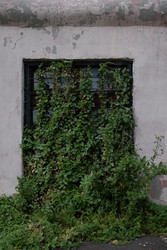 Similar image 22235664