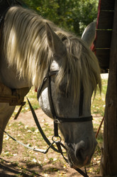 Similar image 22233606