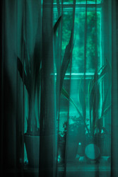 Similar image 22234801