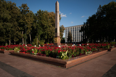 Similar image 22235246