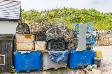 Similar image 22235250