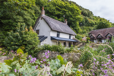 Similar image 22235253