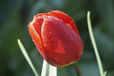 Similar image 22234857