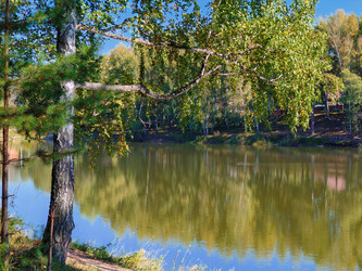 Similar image 22235667