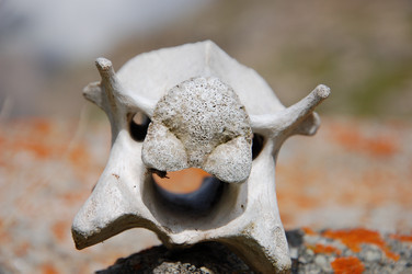 Similar image 22234898