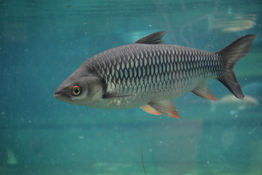 Similar image 22234838