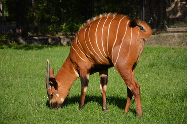 Similar image 22234839