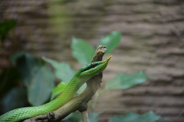 Similar image 22234841