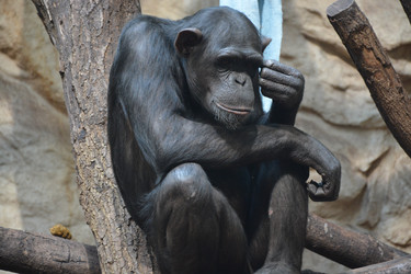 Similar image 22234842