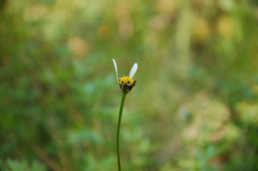 Similar image 22234843