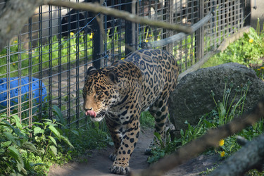 Similar image 22234903