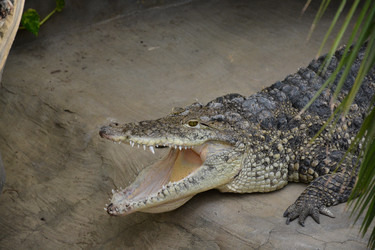 Similar image 22234904