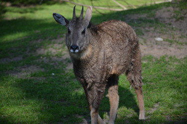 Similar image 22234905