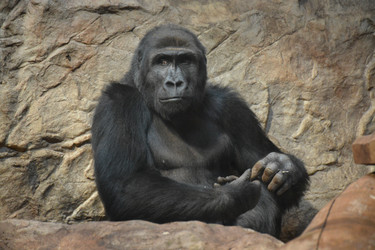 Similar image 22234906