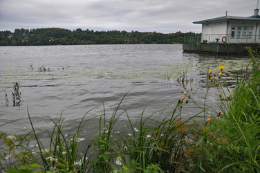 Similar image 22235264