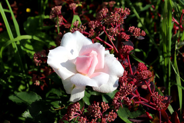 Similar image 22234813