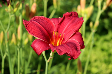 Similar image 22233720