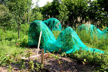 Similar image 22233722