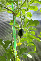 Similar image 22236427