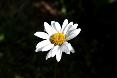 Similar image 22236428