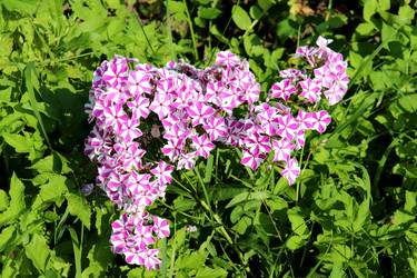 Similar image 22243688