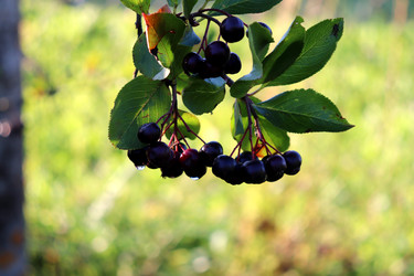 Similar image 22243689