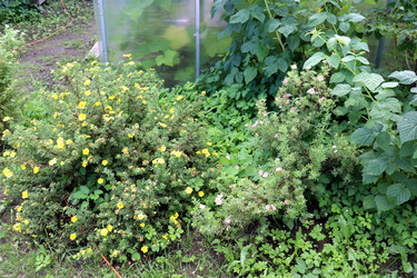 Similar image 22243691