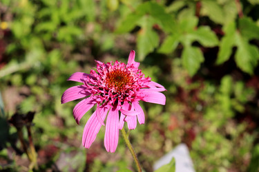 Similar image 22243693